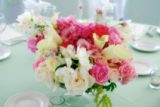Flowers and Blooms