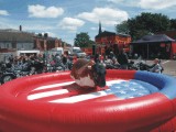 Rodeo Bull