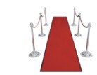 Red Carpet and Stanchions