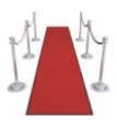 Red Carpet and Stanchions
